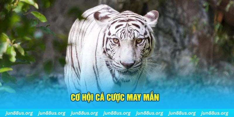 w88 club ÁT CHỦ BÀI 5 LÁ