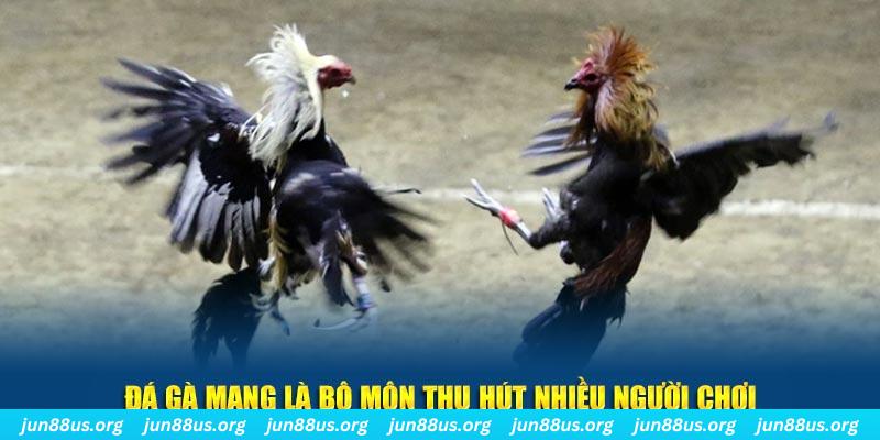 w88 club mơ nổ hũ đánh con gì