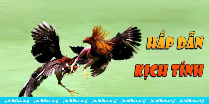 đăng nhập sòng bạc dễ thắng