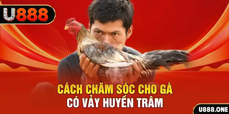 w88 club xổ số miền trung thứ tư