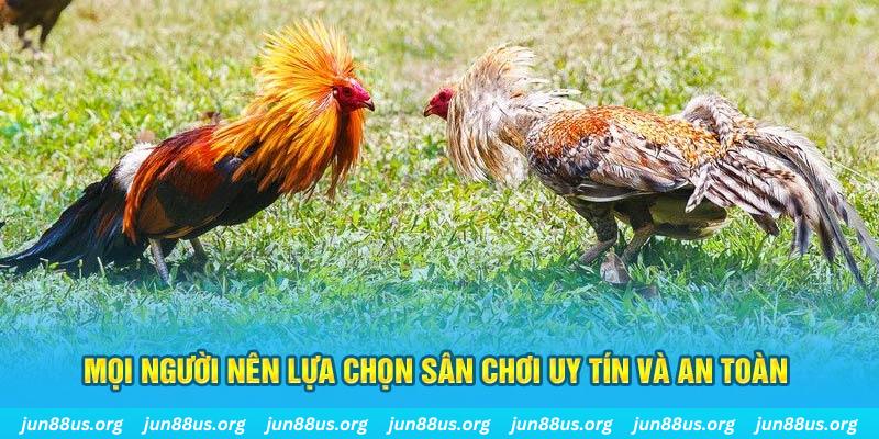 w88 club Giành Chủ Bull Bull