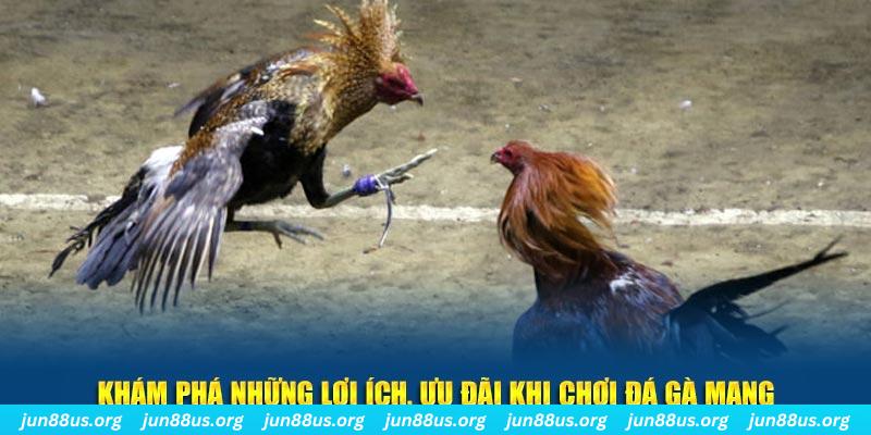 w88 club xổ số đài miền trung