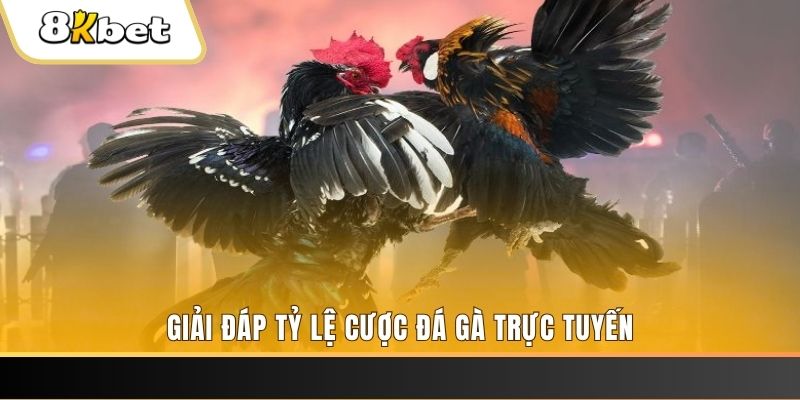 w88 club new88 ở trò chơi nổ hũ có bao nhiêu sảnh game？