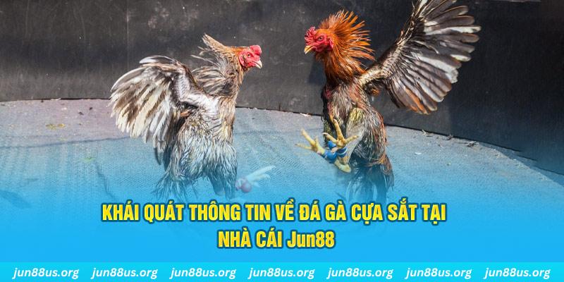 w88 club game đánh bài đổi thẻ điện thoại trên máy tính
