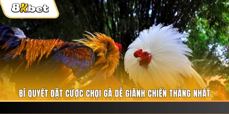w88 club đăng nhập lô đề rút tiền nhanh