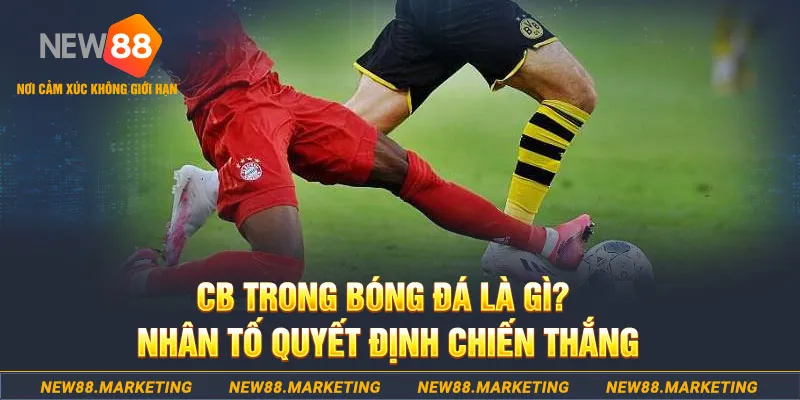 w88 club cá cược bóng đá là gì