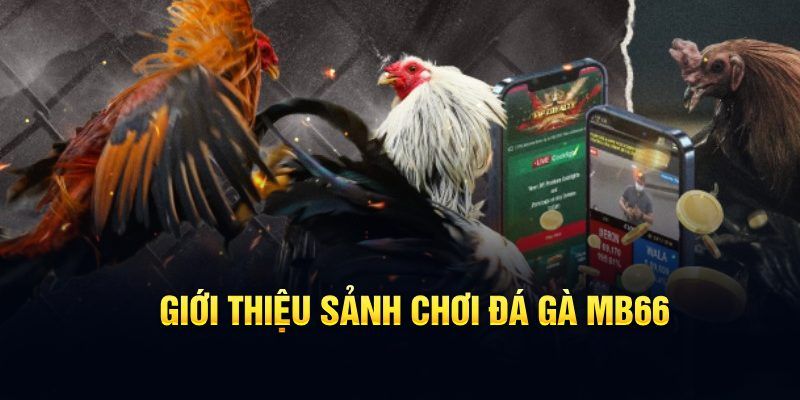 w88 club xổ số thành phố